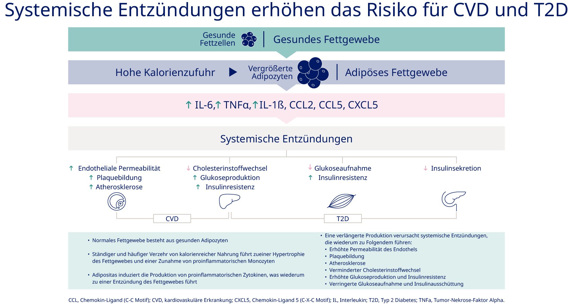 RO-DE-systemische-infographic