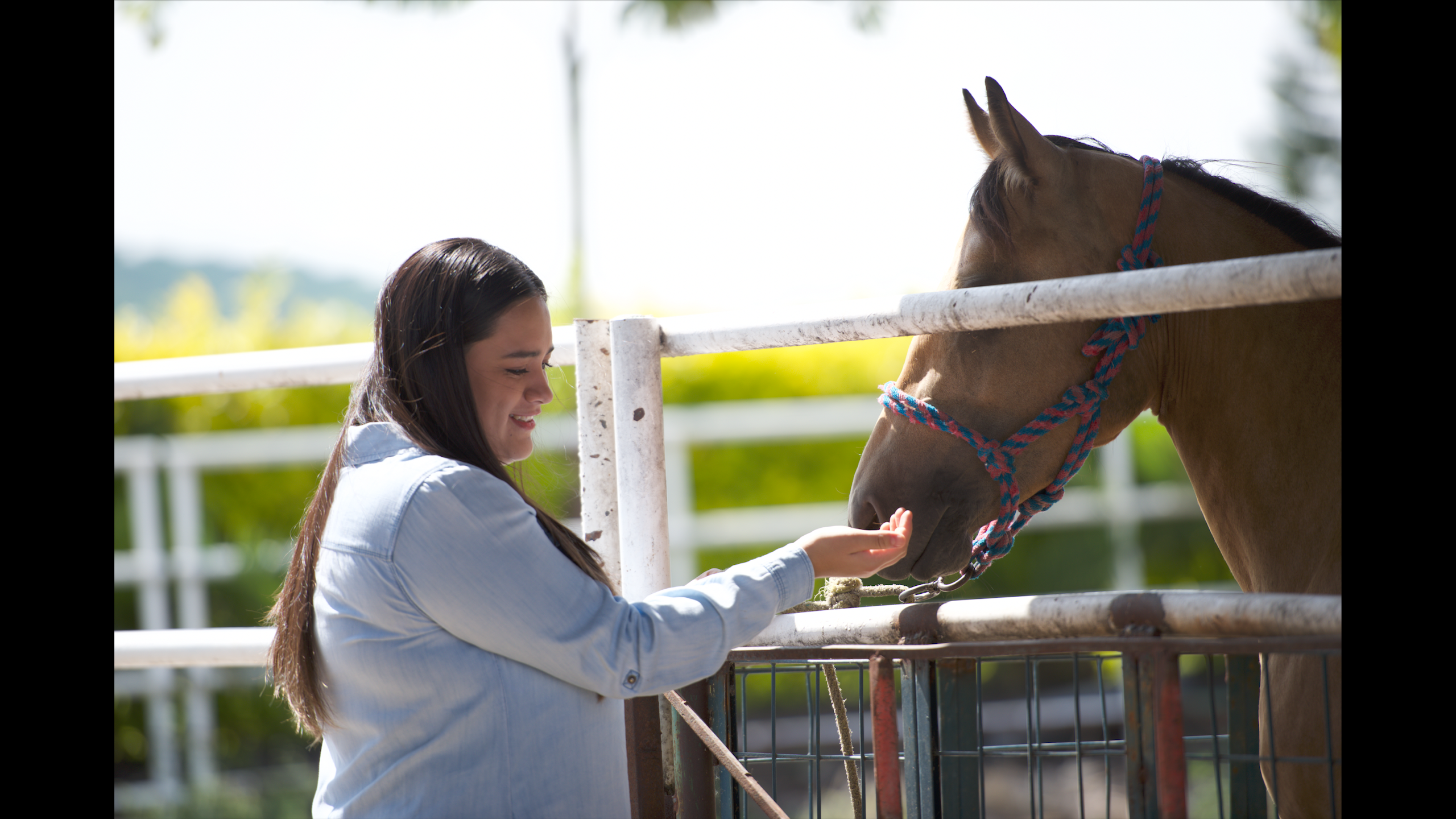 Obesity: A leading risk factor in type 2 diabetes (T2D)